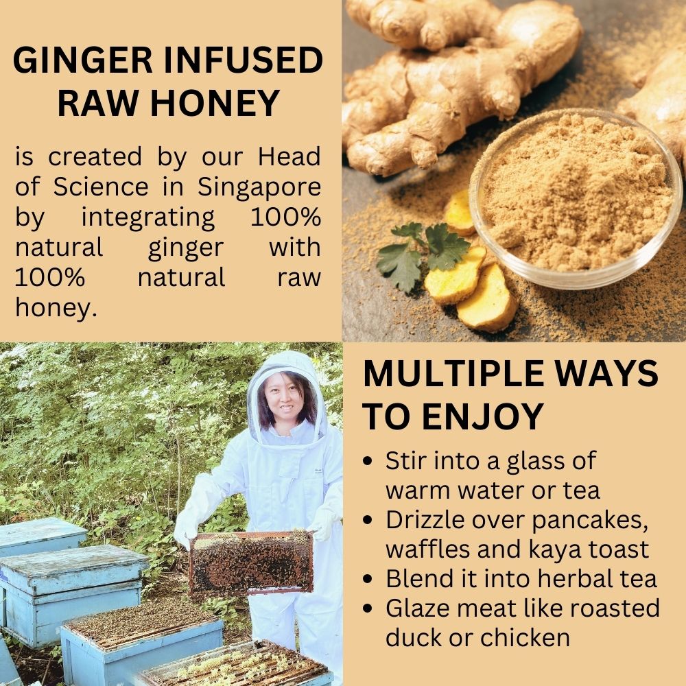 Premium Ginger Infused Raw Honey 100% Natural Ingredient