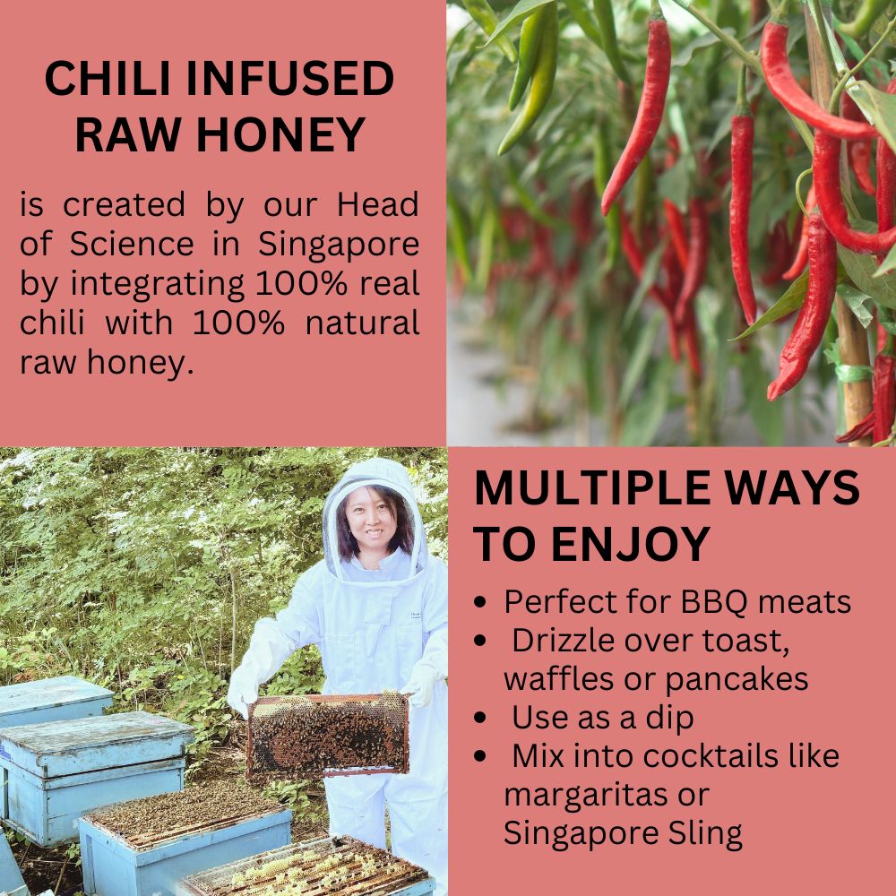 Premium Chili Infused Raw Honey 100% Natural Ingredient
