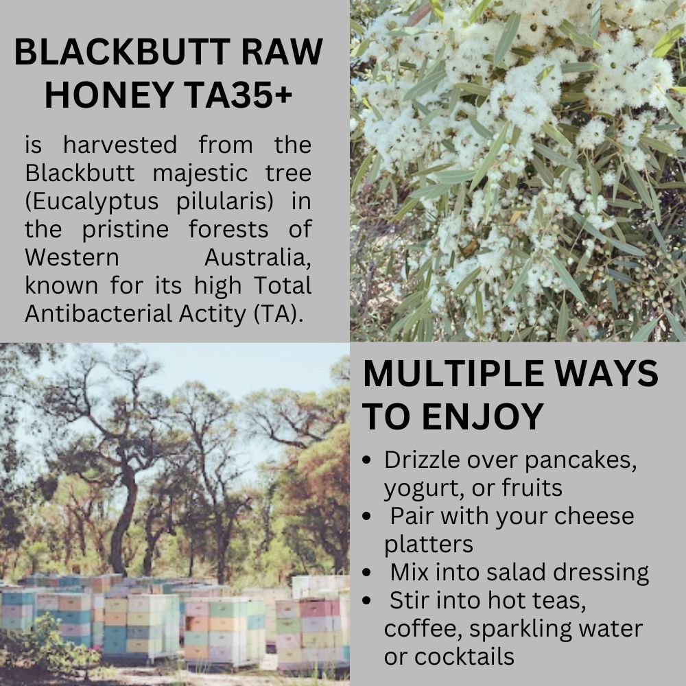 Premium Australian Blackbutt Raw Honey TA35+ Certified Australia Authenticity (Comes with Luxury Gift Box)