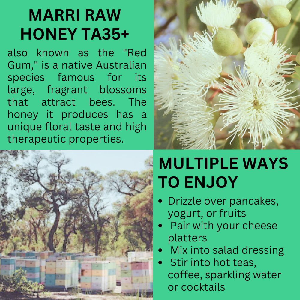Premium Australian Marri Raw Honey TA35+ Certified Australia Authenticity