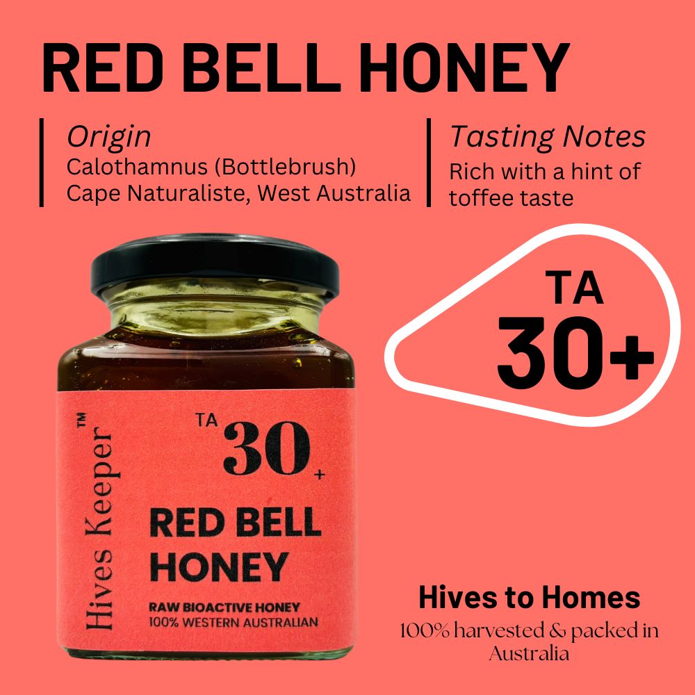 Premium Australian Red Bell Raw Honey TA30+ (With Luxury Gift Box)