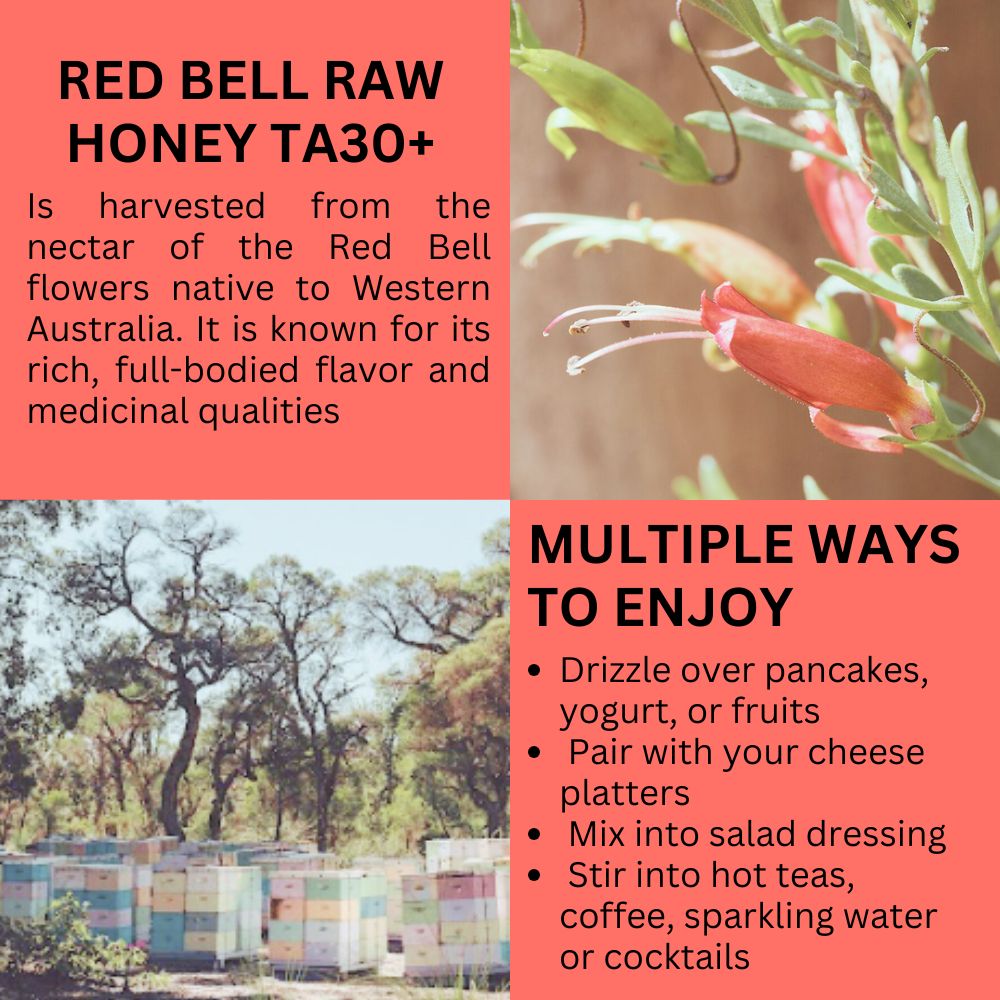 Premium Australian Red Bell Raw Honey TA30+ (With Luxury Gift Box)