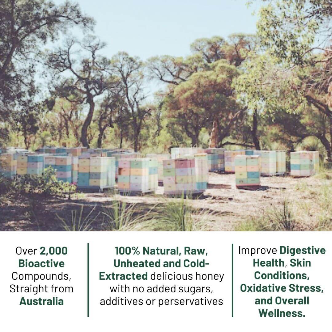 Premium Australian Red Bell Raw Honey TA30+ (With Luxury Gift Box)