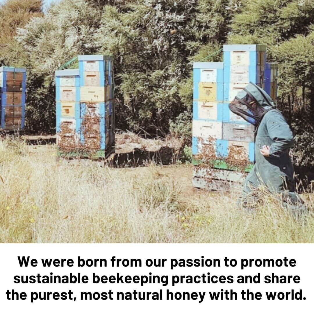 Premium Manuka Raw Honey UMF15+/ MGO 550+ Certified New Zealand Authenticity (Comes with Luxury Gift Box)